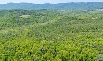 Ahart Ridge Rd lot 58 60 61, Ararat, VA 24053