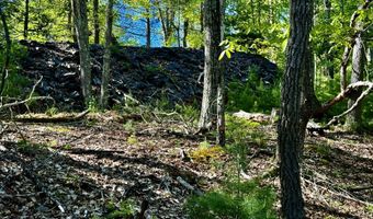 101 Stone Rd, Accord, NY 12404