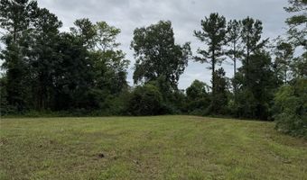 154 County Road 38 Acres, Banks, AL 36005