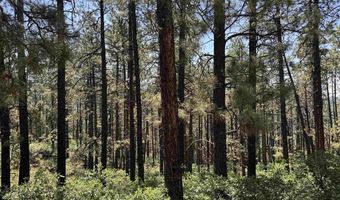 TBD Unit 3 Forest Lakes, Bayfield, CO 81122