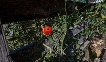 18180 Us 160, Alton, MO 65606