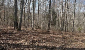 Hwy 127, Albany, KY 42602