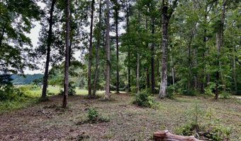 158 Fisher Turnpike Rd Lot 3, Arapahoe, NC 28510