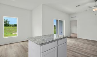 13390 Tula Loop Plan: Amalie, Astatula, FL 34705