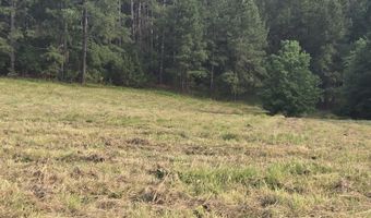 0 Mccormick Hwy Hwy, Lincolnton, GA 30817