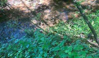 7700 Poole TRACT B, Alto, GA 30510