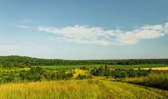 1037 Cr 300, Big Creek, MS 38914