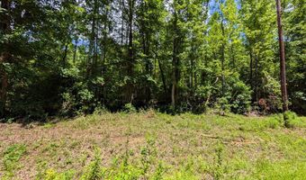 Lot 507 Lakeshore Dr, Abbeville, AL 36310