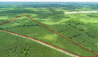 Ten Acre Rd, Andrews, SC 29510