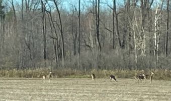 Dumke Lane, Abrams, WI 54101
