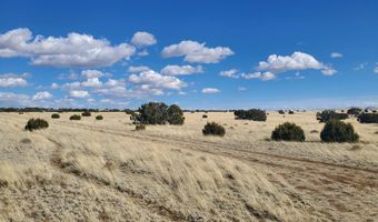 CR 5074, Concho, AZ 85924