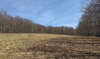 Lot 2 Doig Hollow Road, Andes, NY 13731