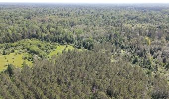 2254 E M30, Alger, MI 48610