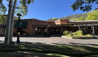 419 E Cooper Ave, Aspen, CO 81611