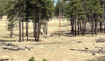Forest Road 26 lot B, Alpine, AZ 85920