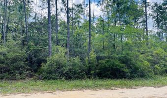 Chaco Circle, Alford, FL 32420