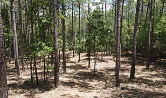 Lot 6 Lighthouse Point, Lincolnton, GA 30817