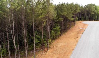 Lot 1 Mountain Pass Drive, Benton, AR 72019