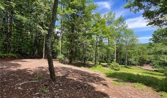 0 Woodland Hills Rd, Andes, NY 13731