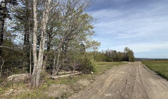 Lot 8 Airline Road, Alexander, ME 04694