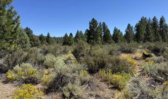 Bufflehead Drive 18, Bonanza, OR 97623