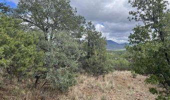 415 XYZ, Arenas Valley, NM 88022