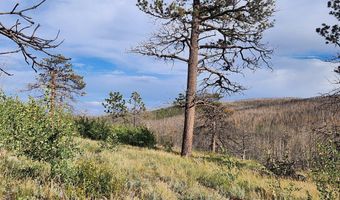 0 Crystal Mountain Rd, Bellvue, CO 80512