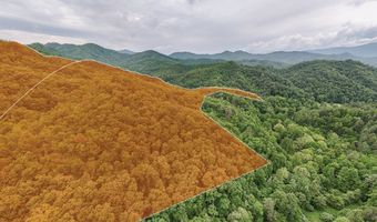 399 Shell Stand Rd, Almond, NC 28702