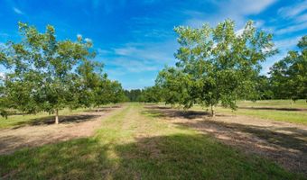 0 Gravel Hill Rd, Baconton, GA 31705