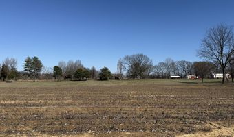 2966 N U.S. 412, Alamo, TN 38001