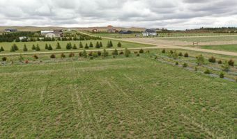 906 7th St NW, Bowman, ND 58623