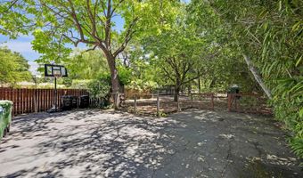 51 Bolla Ave, Alamo, CA 94507