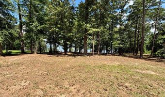 171 Lakeview Ter, Abbeville, AL 36310