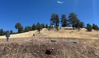 6 County Road 2331, Alpine, AZ 85920