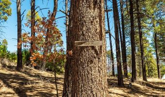 113 Pine Dr, Bayfield, CO 81122