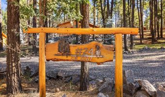 24 County Rd 2267, Alpine, AZ 85920