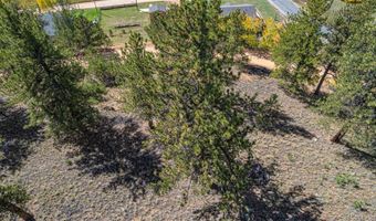 103 Gross Rd, Bailey, CO 80421