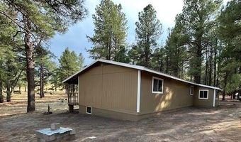 6 County Rd N2127, Alpine, AZ 85920