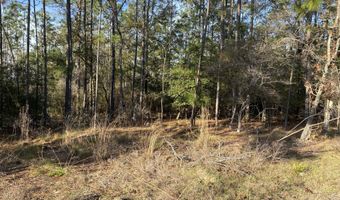 Largo Street, Alford, FL 32420