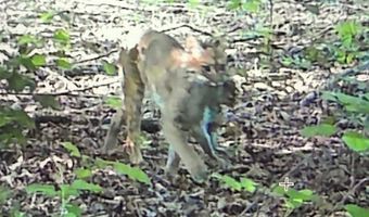 TBD1 E Willow Rd, Bloomfield, IN 47424