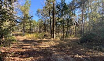 10 Drinkard Rd, Bay Minette, AL 36507