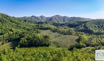 1619 Squirrel Creek Rd, Ararat, VA 24053