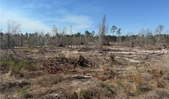 0 35.01 Acres Bacon School Rd, Alma, GA 31510