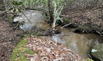 62 Acres Buckeye Ridge Rd, Beech Mountain, NC 28604