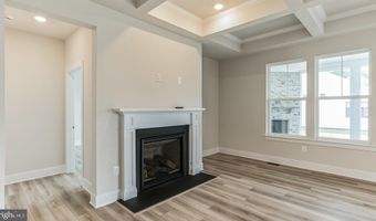 TBB HORNBEAM Drive unit Antigua Antigua, Frankford, DE 19945