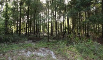 15821 SW 50TH Ave, Archer, FL 32618