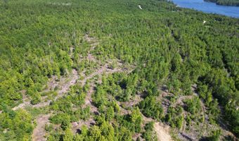 Lot 39 Southwest Brook Lane, Beddington, ME 04622