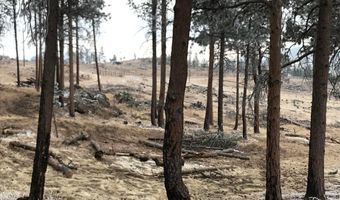 3434 Davis Ranch Rd, Bellvue, CO 80512