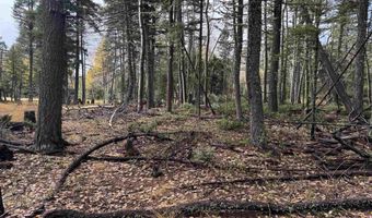 Vermejo Cir lot 15, Angel Fire, NM 87710