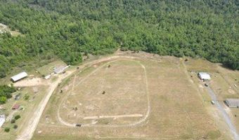 TBD NW CR 274, Altha, FL 32421